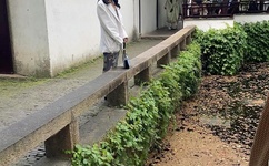 欢乐白领俱乐部